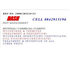 Dash Pest management