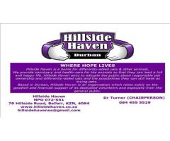 Hillside Haven